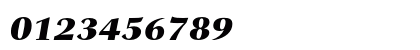 Bitstream Carmina Black Italic Numeric Preview