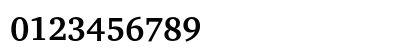 CharterEF Bold Numeric Preview