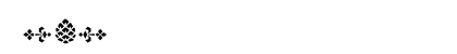 ITC Charter Black Italic Extension Preview