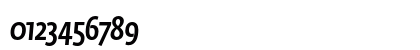 Fedra Sans Condensed Std Medium Italic Preview