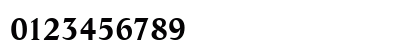 LifeTEE Bold Preview