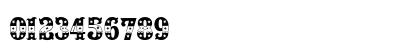 Houdini Regular Preview