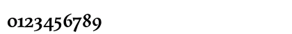 MaiolaPro Bold Preview