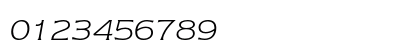 ITC Newtext Light Italic Numeric Preview