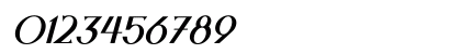 Night Zone Italic Numeric Preview