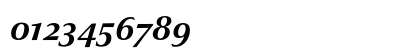 Optima nova LT Bold Italic Old Style Figures Preview
