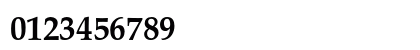 Palatino LT Std Bold Preview