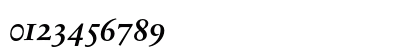 SabonNext RW OsFDemi Bold Italic Numeric Preview