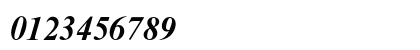 Times New Roman MT Std Bold Italic Preview