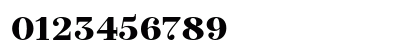 TT Tsars B Trial Black Numeric Preview