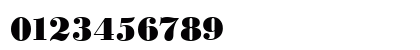 BodoniStd-Xbold Regular Preview