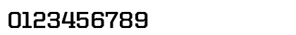 United Serif Reg Bold Numeric Preview