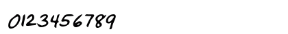 BrucesHand Bold Italic Numeric Preview