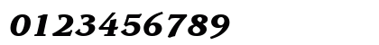 Advisor Black SSi Black Italic Numeric Preview