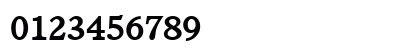 C851-Roman Bold Numeric Preview