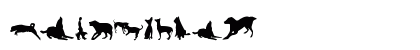 can dog tfb Regular Numeric Preview