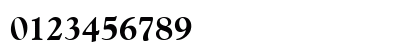 Carnegie Black Black Preview