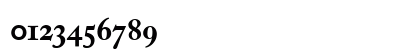 Caslon Pro Black SSi Bold Numeric Preview