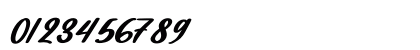 Catalish Huntera Italic Numeric Preview