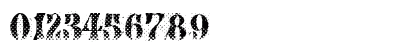 AfterMidnightSalePreshrunk Regular Numeric Preview