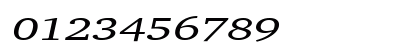 Challenge Extended Italic Numeric Preview