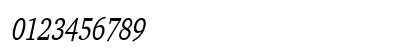 Challenge Thin Italic Numeric Preview