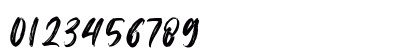 Changer Regular Numeric Preview