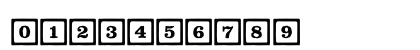 ChildsPlayBlocksLine Roman Preview