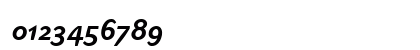 LTInagur Light Bold Italic Numeric Preview