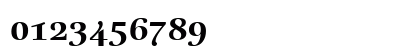 LTReally Medium Bold Numeric Preview