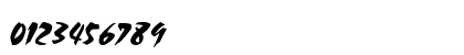 Cocoa Italic Numeric Preview