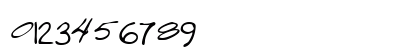 CoreysHand Regular Numeric Preview