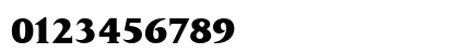 Daily News BQ Bold Preview