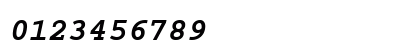 Dark Courier Bold Italic Numeric Preview