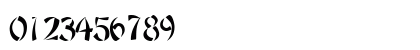DatumSSK Regular Numeric Preview
