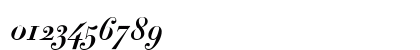 Didot Bold Italic Preview