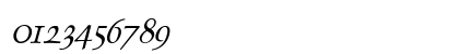 Dolphin Italic Numeric Preview