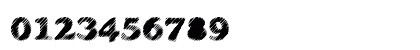 AntiGlare Regular Numeric Preview