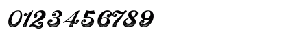 Flamouse Personal Use Only Regular Numeric Preview