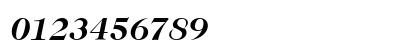 Caslon 224 LT Medium Bold Italic Numeric Preview