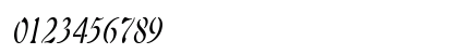 Freedom 9 Thin Italic Numeric Preview