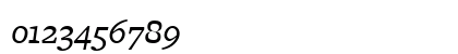 FreightMicro BookItalic Preview
