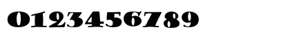FZ JAZZY 38 Normal Preview