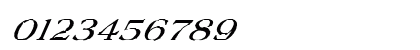FZ ROMAN 22 ITALIC Medium Preview