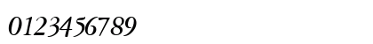 GaramondRepriseSSK Bold Italic Numeric Preview