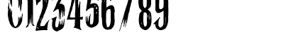 Ghost Shadow Regular Preview
