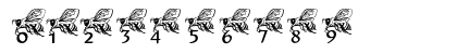 New Regular Numeric Preview