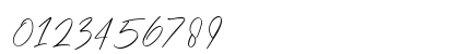 Hundred Signature Regular Numeric Preview