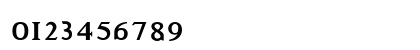Idiosynoptium Regular Numeric Preview