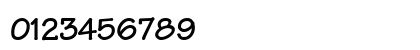 Manual SSi Bold Preview